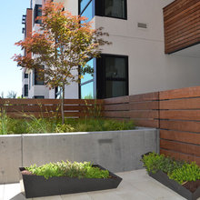 landscaping and fencing