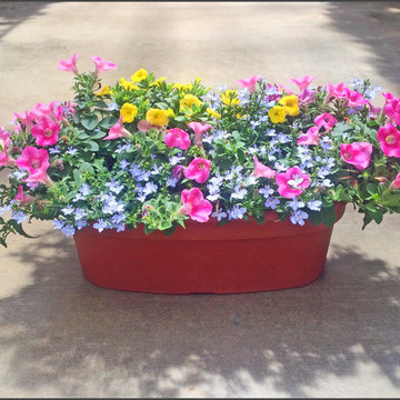 Patio Gardening Ideas
