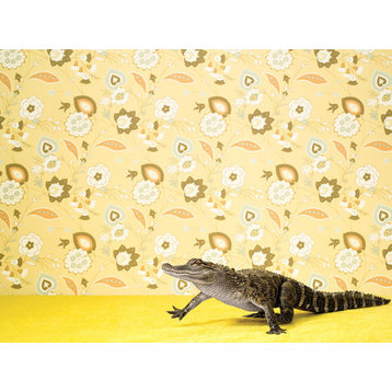 "Alligator on Yellow" Canvas Wall Art by Catherine Ledner, 18"x14"