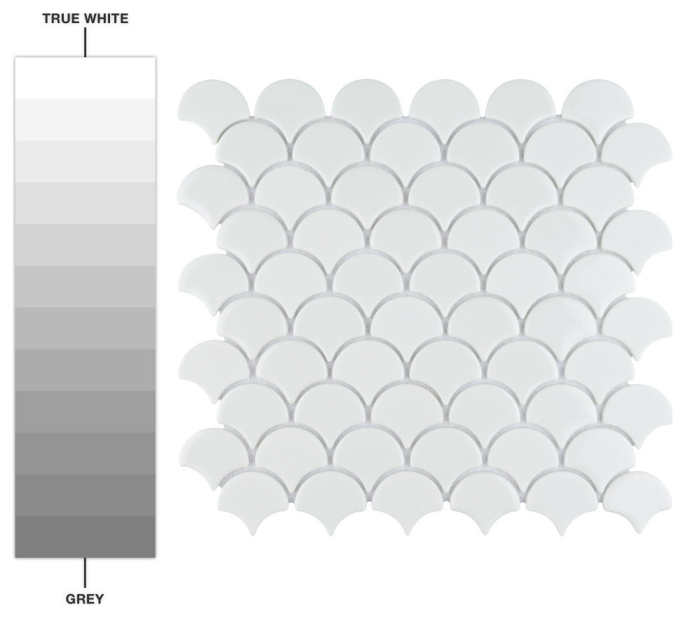 Expressions Scallop White Glass Floor and Wall Tile