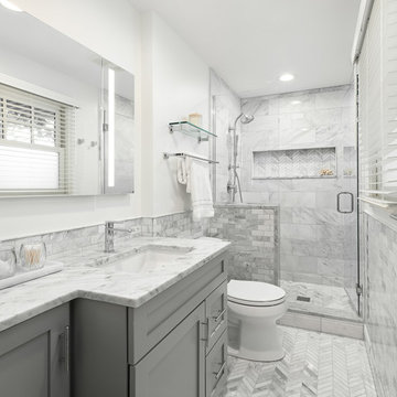 Transitional Master bath and bathroom - Naperville, IL