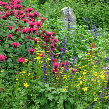 Deer Resistant Garden