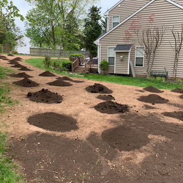 Lawn renovation