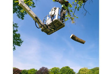 Newark Tree Care