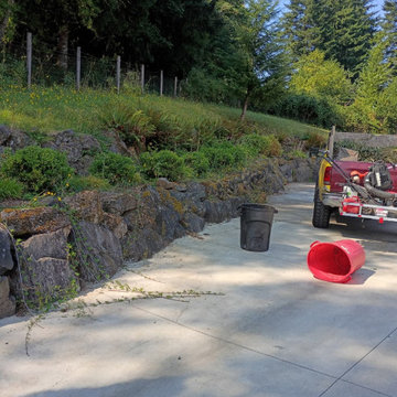 Landscape Cleanup and Ground Preparation