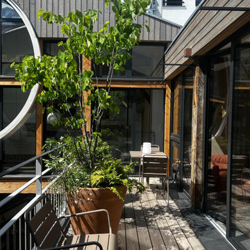 Aménagement paysager d'un patio à Paris 11ème...