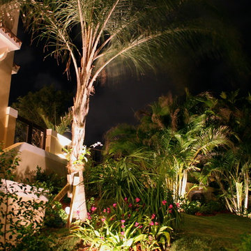 Landscape Lighting