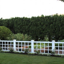 Veggie garden ideas