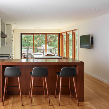 Expanded Kitchen