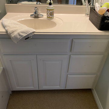 Bathroom Remodel