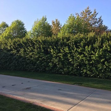 Landscape projects
