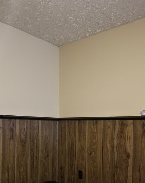 Best Color To Paint Wood Paneling In Basement Openbasement