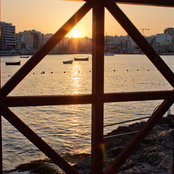 Dani Cassar's photo