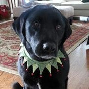 Mindy Klahr's photo