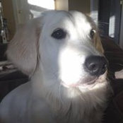 Laurie Rilee's photo