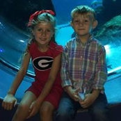 Susan Barlow's photo