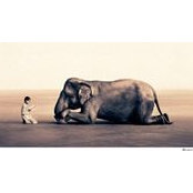 Yoichi Kato's photo