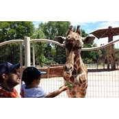 John Turchiano's photo