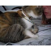 Chasity Holmes's photo