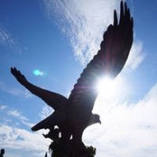 William Cheong's photo