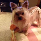 Lecia Ferrell's photo