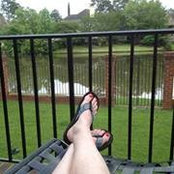 Dinah Cook's photo