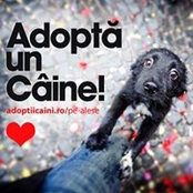 Raluca Andreea Baltag's photo