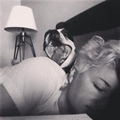Summer Trot's photo