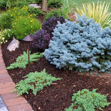 Pool Landscaping