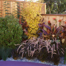 colorful gardens
