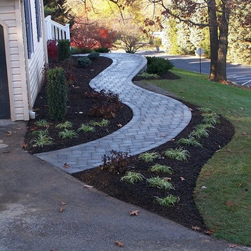 Our Work
