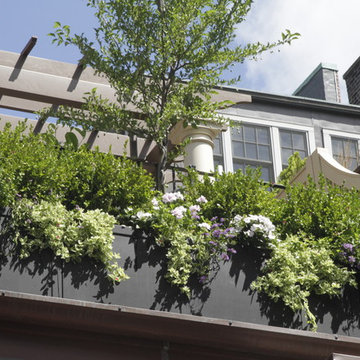 Beacon Hill Roof Terrace
