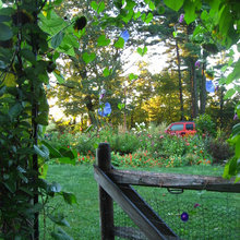 Garden Designs