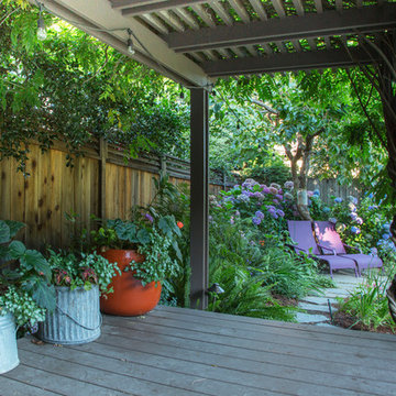 My Houzz: Colorful Garden Oasis in Marin County