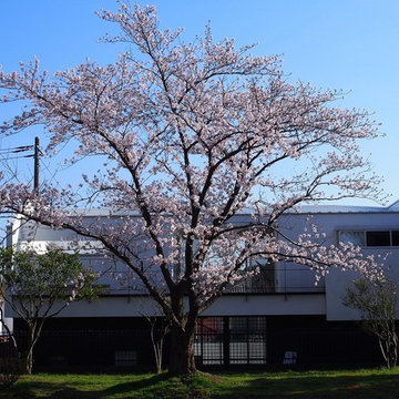 水盤のある住まい