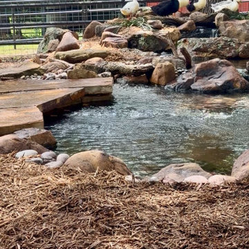 10x10 Duck Pond