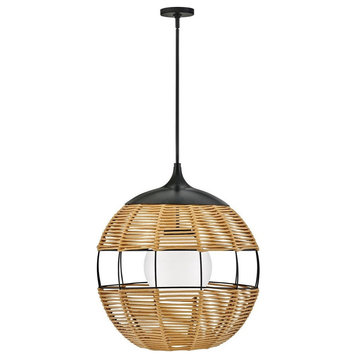 10W 1 LED Outdoor Orb Hanging Lantern In Modern Style-26 Inches Tall and 24.25