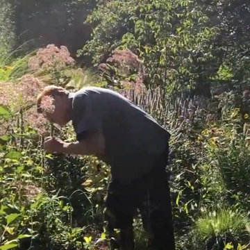 Rethinking the Front Lawn - Try a Native Perennial Garden Instead!