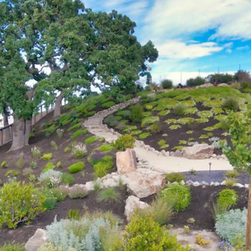 Pleasanton Paradise