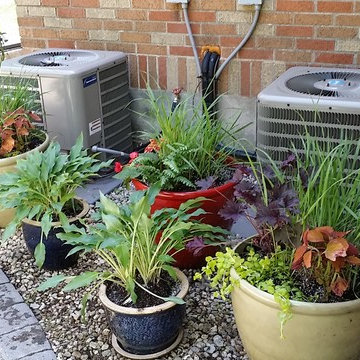 Belmont - Planters to screen utilities