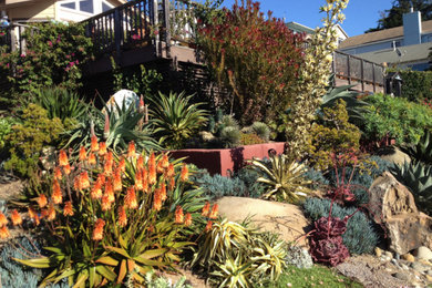 Photo of a mediterranean landscaping in San Luis Obispo.