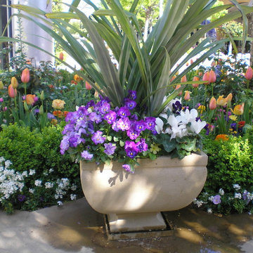 Colorful mix of annuals, perennials and evergreen shrubs. Palo Alto, CA.