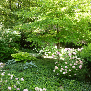 Krumlauff-Weidemann Woodland Garden