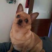 Doris Borg's photo