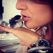 Ioana Iftene's photo