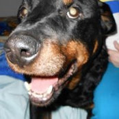 Laurie Klapper's photo