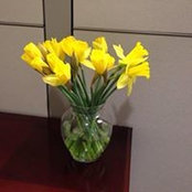 Heidi Boone's photo