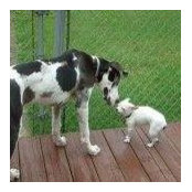 Patty Blevins's photo