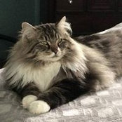 Amy Johnson's photo