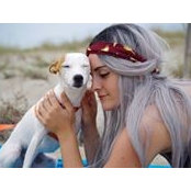 Michelle Gollasch's photo